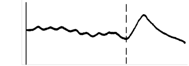 有內(nèi)部平衡網(wǎng)絡 有內(nèi)部平衡網(wǎng)絡