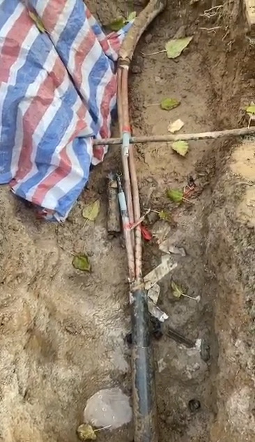 1669777667984043.jpg 1669776968450.jpg